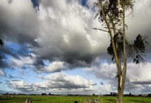 欧国联冠亚军大对决，前途未卜