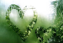 广州恒大实力锐不可挡,过硬的阵容斩获胜利,士气高昂备战