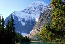 非洲杯赛事谁能成为夺冠热门？