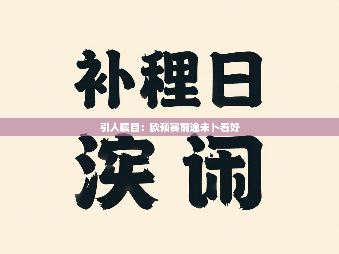 引人瞩目:欧预赛前途未卜看好 第2张