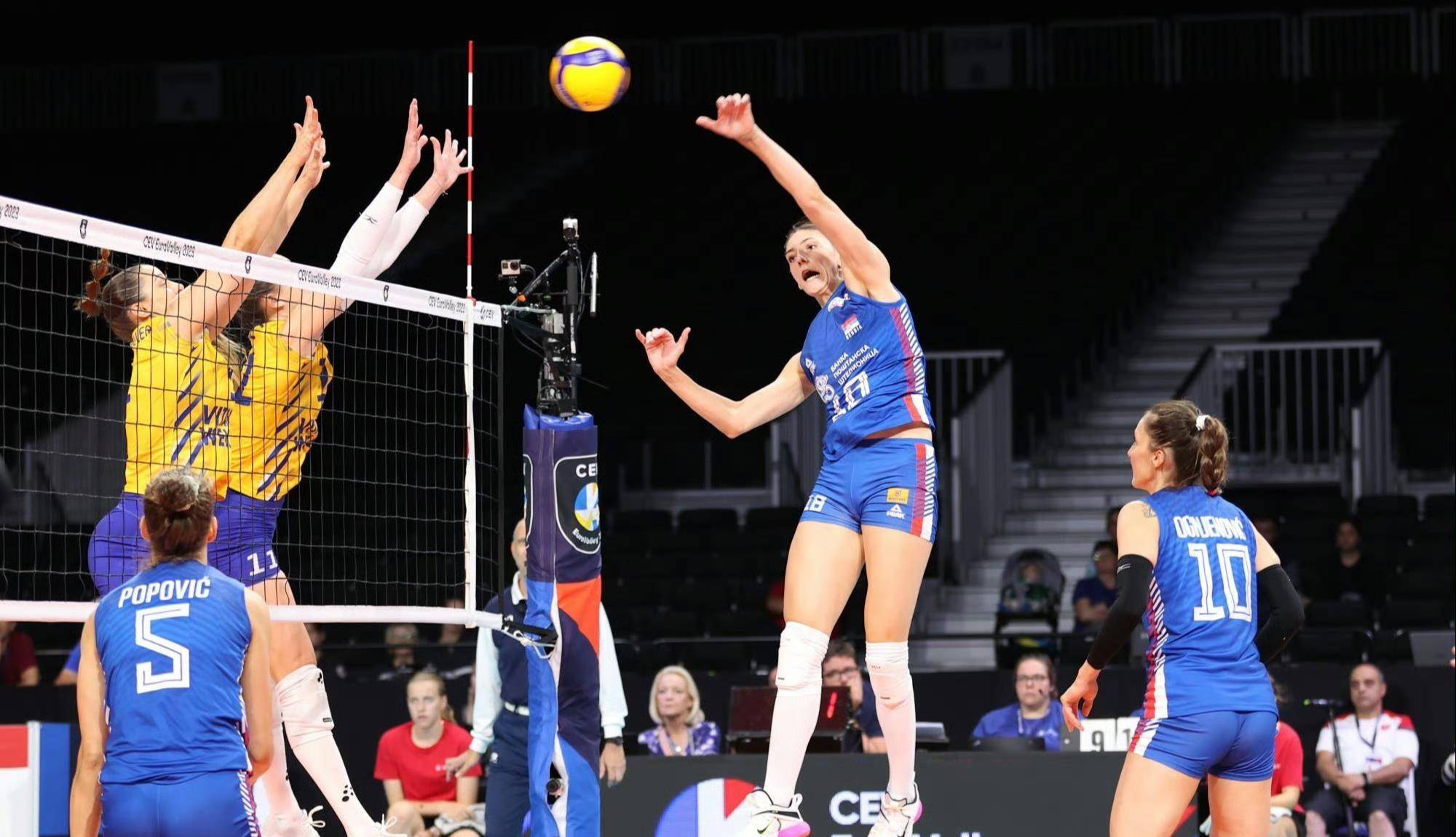 塞尔维亚队在排球比赛中奋力拼搏的简单介绍 塞尔维亚队在排球比赛中奋力拼搏的简单介绍