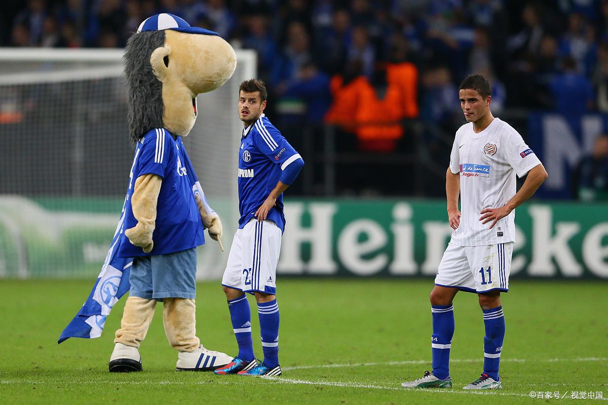 爱游戏体育官网-蒙彼利埃主场不敌对手，遭遇失利的简单介绍